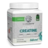 Sunwarrior Creatine Monohydrate -Garmins Store Sunwarrior Creatine