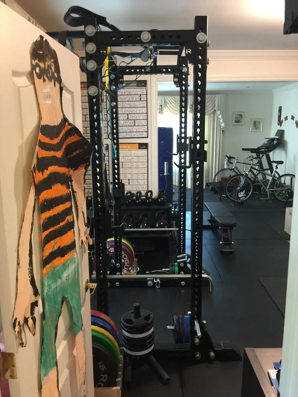 Rogue RM-390F Flat Foot Monster Rack 4 Rogue RM-390F Flat Foot Monster Rack - Image 2