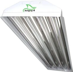 Prime Lights Stingray 4